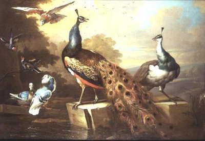 Peacock and Pea Hen in a Landscape by Tobias Stranover