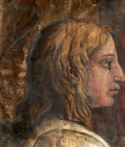 A Head from the Cartoon for the Tapestry of The Presentation in the Temple, c.1524 by Tommaso Vincidor