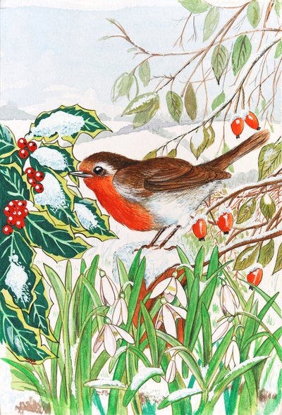 Robin and Snowdrops by Tony Todd