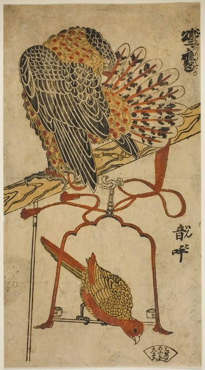 Sparrowhawk and Macaw by Torii Kiyomasu I