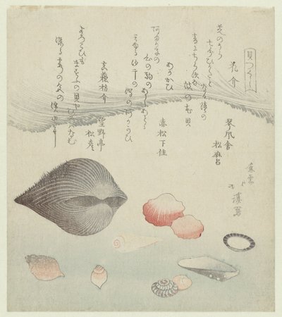 Flower Shell, Red Shell, and Pure Red Shell (A Series of Shells) by Totoya Hokkei