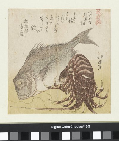 The Sea Bass of Yanagiya in Odawaracho by Totoya Hokkei