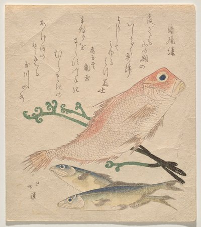 Pink Sea Bream and Two Small Trout by Totoya Hokkei