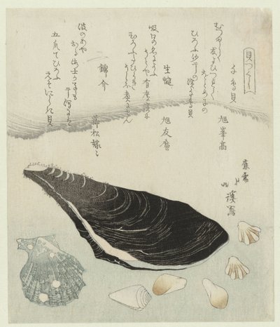 Plover Shells, Raw Mussel, and Brocade Shell (A Series of Shells) by Totoya Hokkei