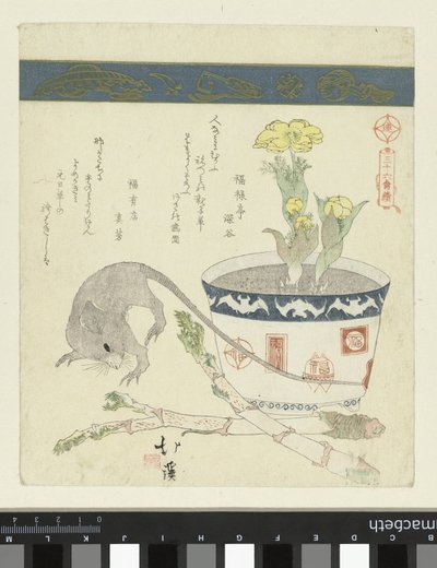 Rat and bowl with Adonis by Totoya Hokkei