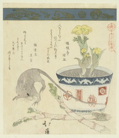 Rat and Bowl with Adonis (series title: A Series of Thirty-Six Birds) by Totoya Hokkei
