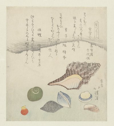 Reflecting Shell, Ivory Shell, and Triton Shell (series title: A Series of Shells) by Totoya Hokkei