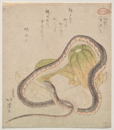 Snake Entwined with Gourds by Totoya Hokkei