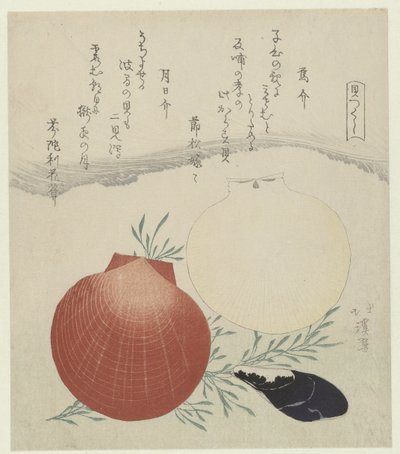 Freshwater Mussel and Japanese Sun-and-Moon Scallop (A Series of Shells series) by Totoya Hokkei