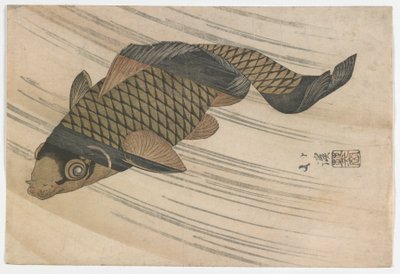 Carp Swimming Upstream, Edo Period, Mid 1820s by Toyota Hokkei