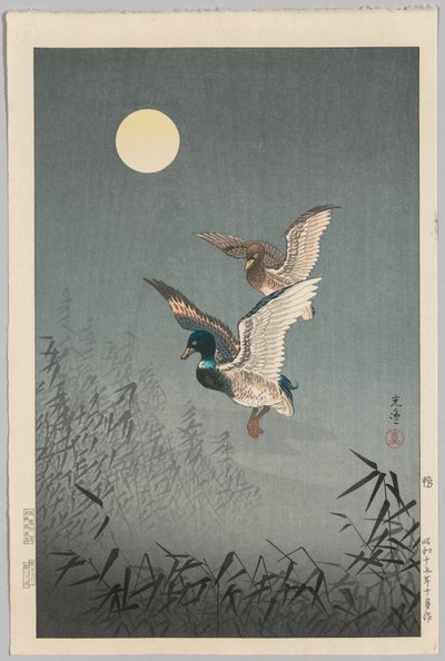 Tokyo Views: Ducks by Tsuchiya Kōitsu