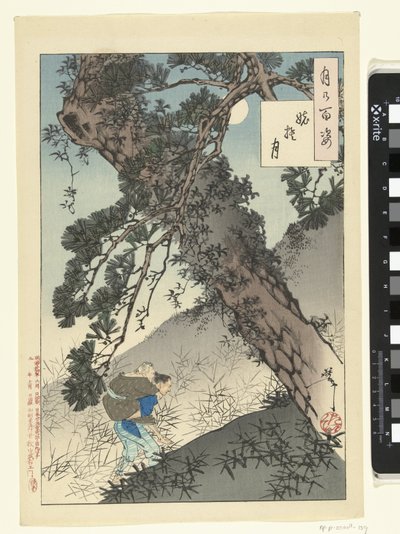 Moon and the Abandoned Old Woman by Tsukioka Yoshitoshi