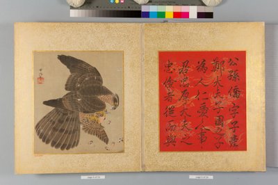 Album of Hawks and Calligraphy by Tsunenobu Kano