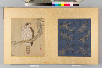 Album of Hawks and Calligraphy by Tsunenobu Kano