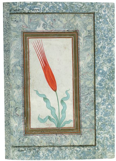 Page from the Turkish Tulip Album, Istanbul, 1725 by Turkish School