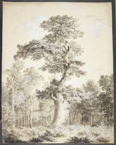 Landscape with Large Tree and Hunter by Ubekendt