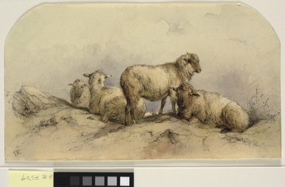 Sheep in a landscape by Ubekendt KKSgb7508 KKSgb7512