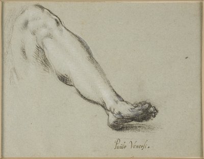 Study for Lower Part of a Left Leg by Ubekendt Ubekendt