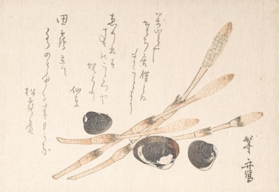 Tsukushi Plant and Shijimi Shells by Uematsu Toshu