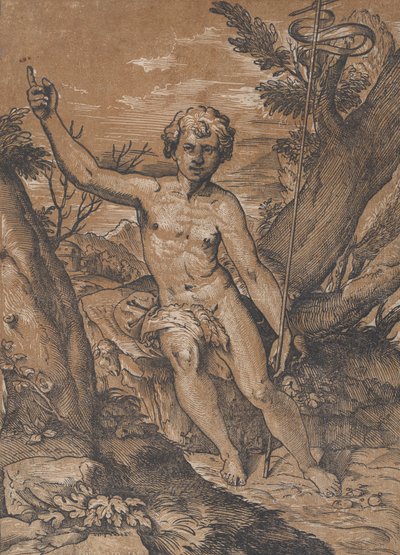 The young Saint John the Baptist in the wilderness, ca. 1520-27 by Ugo da Carpi