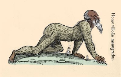 Monster Creature: a hairy man walking on all fours. Plate after Ulisse Aldrovandi (1522-1605), Monstrorum Historiae, Bologna 1642 by Ulisse Aldrovandi