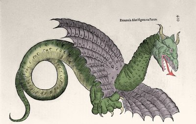 Representation by Ambroise Pare (1509-1590) in her book Monsters and wonders. Engraving by Ulisse Aldrovandi (1522-1605), Monstrorum Historiae, Bologna 1642 by Ulisse Aldrovandi
