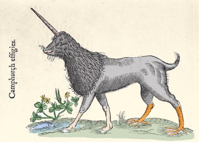 Representation of a camphurch, monster of the Molucca Islands Engraving by Ulisse Aldrovandi, Monstrorum Historiae, Bologna 1642 by Ulisse Aldrovandi