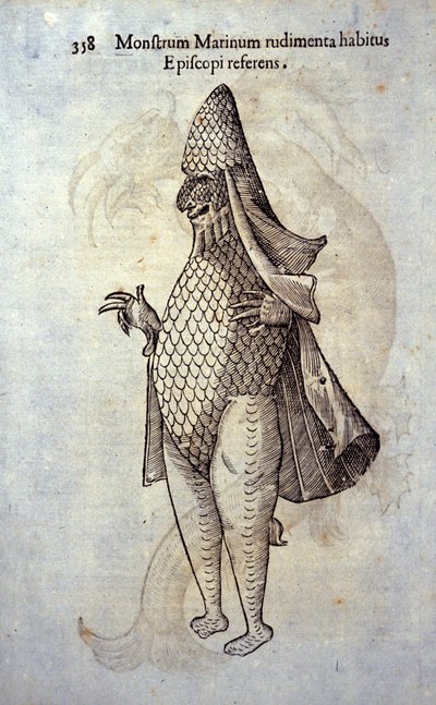 The Sea Eveque, Imaginary Fish and Marine Monster by Ulisse Aldrovandi, 