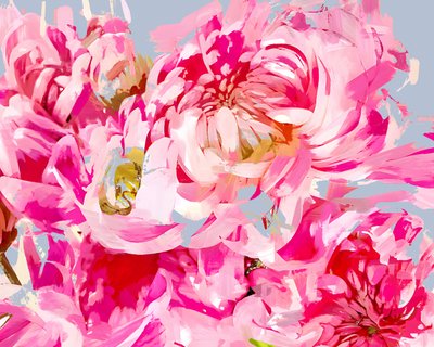 Pink Floral Expression by Uma Gokhale