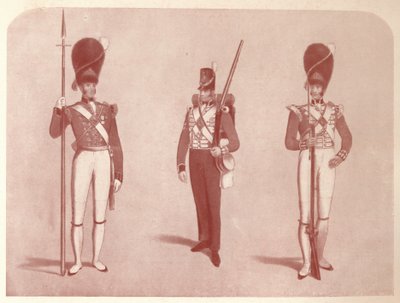 1st or Grenadier Regiment of Guards in 1815 by Unbekannt