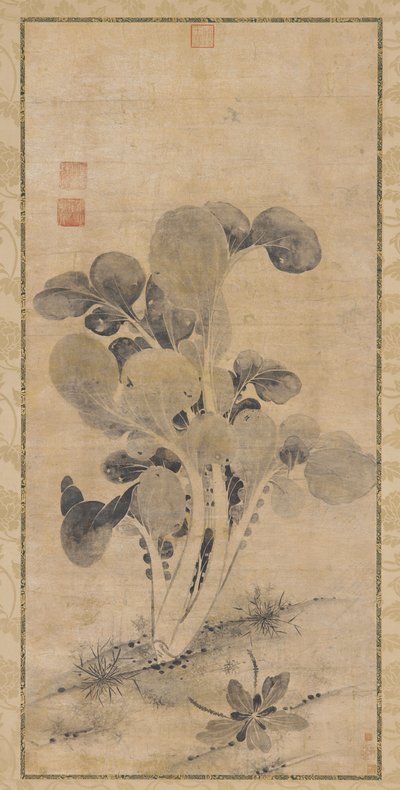 A Cabbage Plant by Unbekannt
