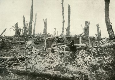 A Dug-Out in What Was Once A Sylvan Wood, 1919 by Unbekannt