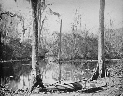 A Feeder of the St. Johns River, Florida, c1897 by Unbekannt