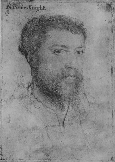 A Gentleman: Unknown Not by Holbein, c16th Century by Unbekannt