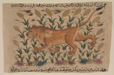A Lion, Folio from a Dispersed Nuzhatnama-i ‘Ala’i of Shahmardan ibn Abi’l Khayr, early 17th century by Unbekannt