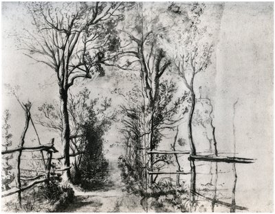 A Path Bordered by Trees by Unbekannt