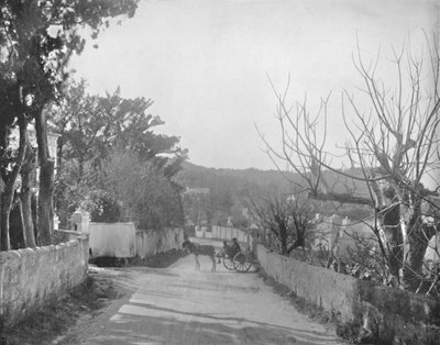 A Road in Port Royal, Bermuda by Unbekannt