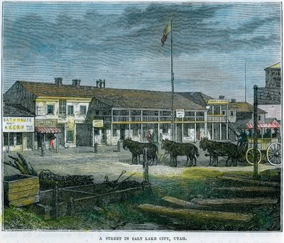A Street in Salt Lake City, Utah, USA, c1880 by Unbekannt