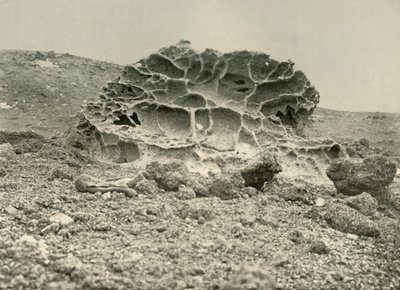 A Weathered Kenyte Boulder Near the Winter Quarters by Unbekannt