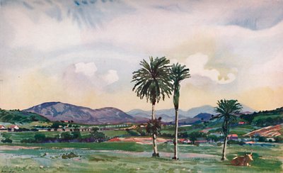 A Bit of Rios North-Western Suburbs, Along the Route of the Central Railway by Unbekannt