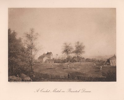 A cricket match on Bansted Downs, Surrey by Unbekannt