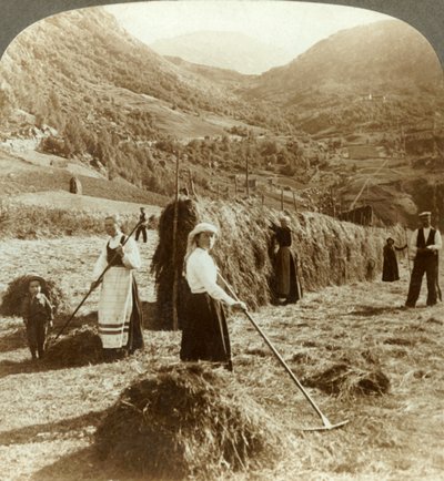 A Farmer