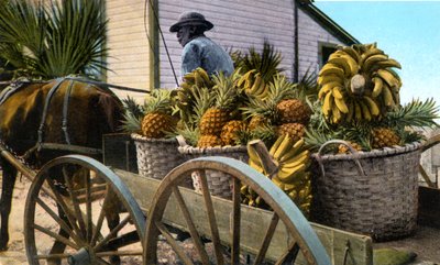 A Fruit Trader, Taboga Island, Panama, Early 20th Century by Unbekannt