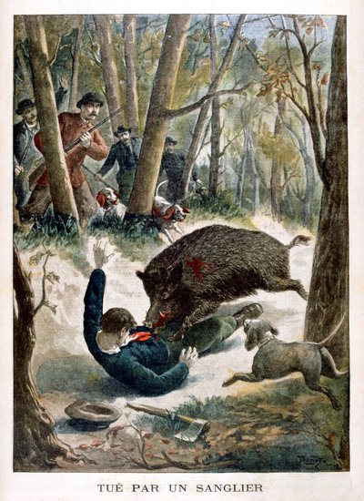 A hunter killed by a wild boar, 1901 by Unbekannt