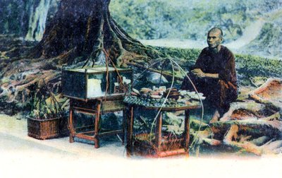 A man selling fruit under a tree, Hong Kong, China, c1900s by Unbekannt