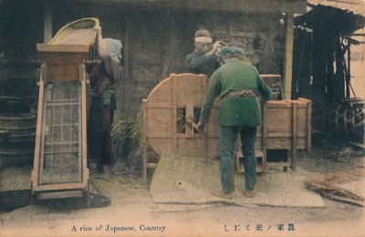 A Rice of Japanese, Country, c1910 by Unbekannt