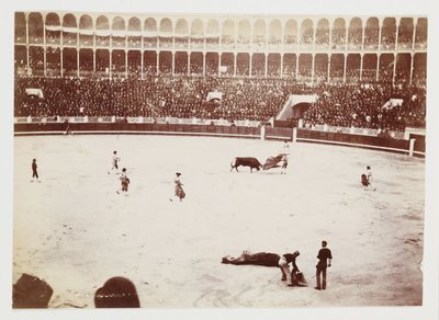 Bullfight in Las Ventas del Espiritu Santo bullring, Madrid, c 1930 by Unbekannt