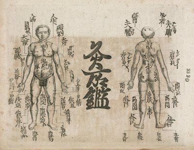 Acupuncture Diagram Showing Where Singeing Should Be Avoided by Unbekannt