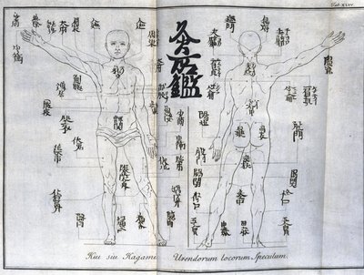 Acupuncture: Chart of the Human Body Indicating Moxibustion Points, Japan (c.1690) by Unbekannt
