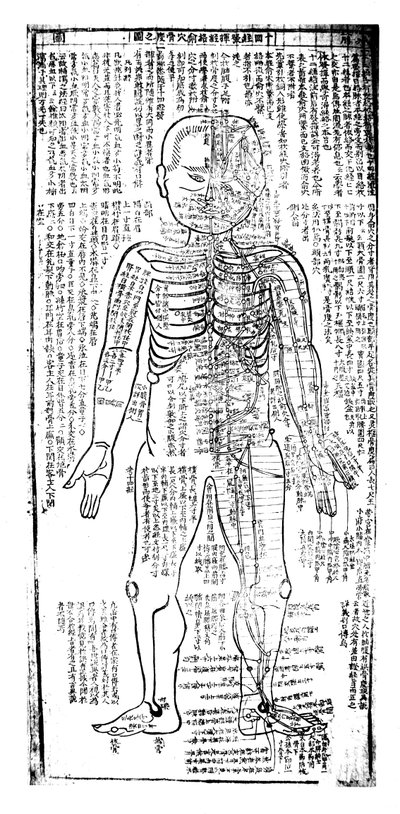 Acupuncture Chart for the Front of the Body, Japanese by Unbekannt
